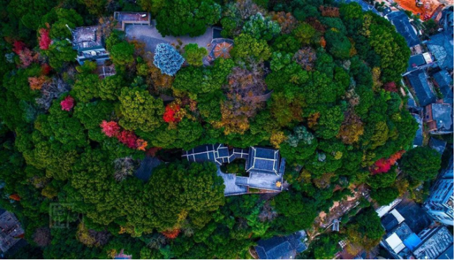 1657461341155321.png image.png